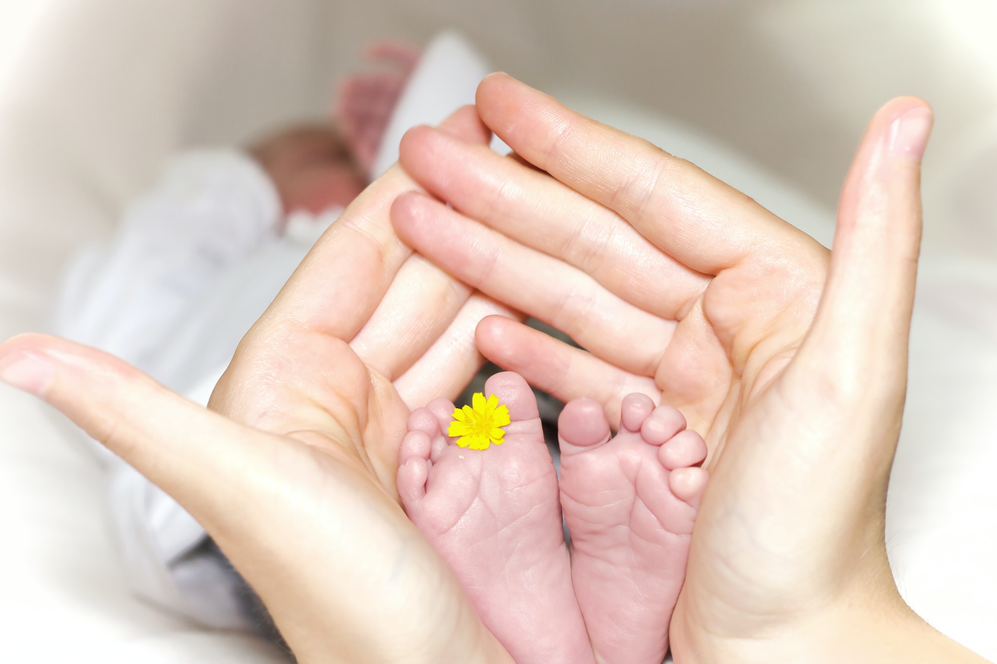 I Am Grateful to Be a Birth Mother. By Gina Crotts