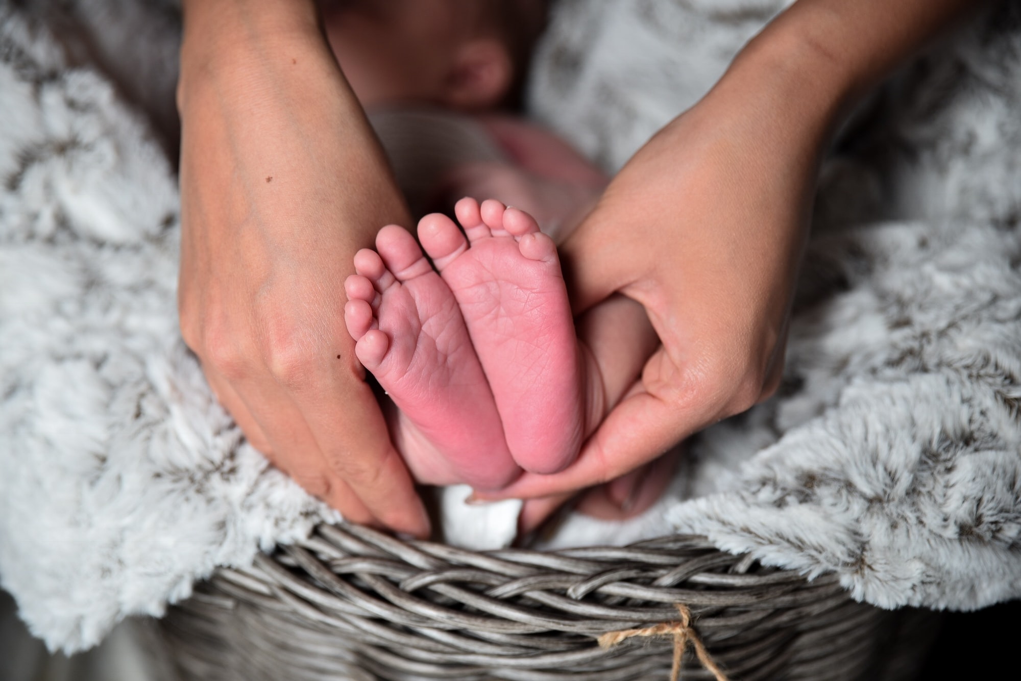 Adoption Cost: Invest in Your Adoption Profile