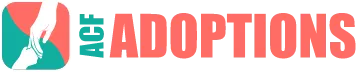 acf-log-for-miami